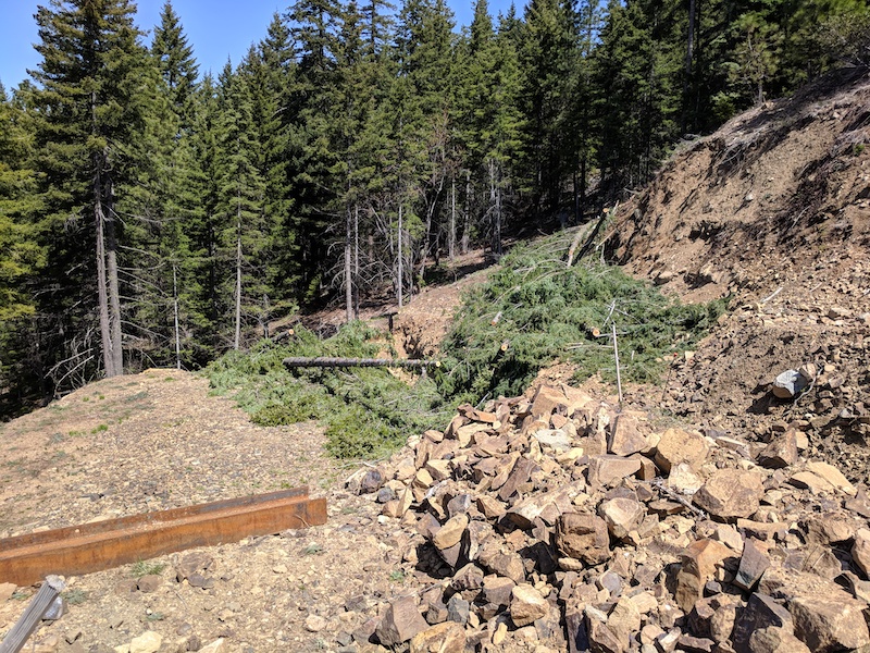 Trees cut down